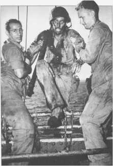 (details) a shipwrecked is hoisted on board (details)