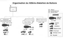 Elements of a unit composed of American black troops, the 320th Battalion of Dam Balloons, landed in Vierville on June 6th and
