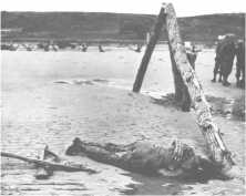 (details) A dead GI in front of a "rape" obstacle. Down the hedgehogs and a half track.