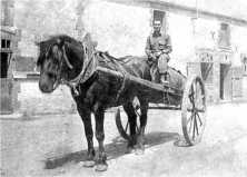 Joe Bossi sur le cheval "Napoléon" de la ferme des Ygouf, aux Isles