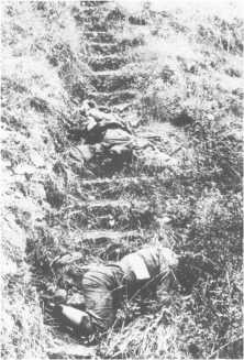 (détails) Des morts dans un raidillon de la falaise.