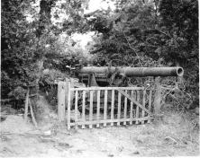 (détails) Les canons de la pointe du Hoc, camoulflés dans les haies (ci contre également)