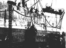 Document du fonds : Les opérations portuaires à terre des 2 Brigades Spéciales du Génie et du 11ème Port